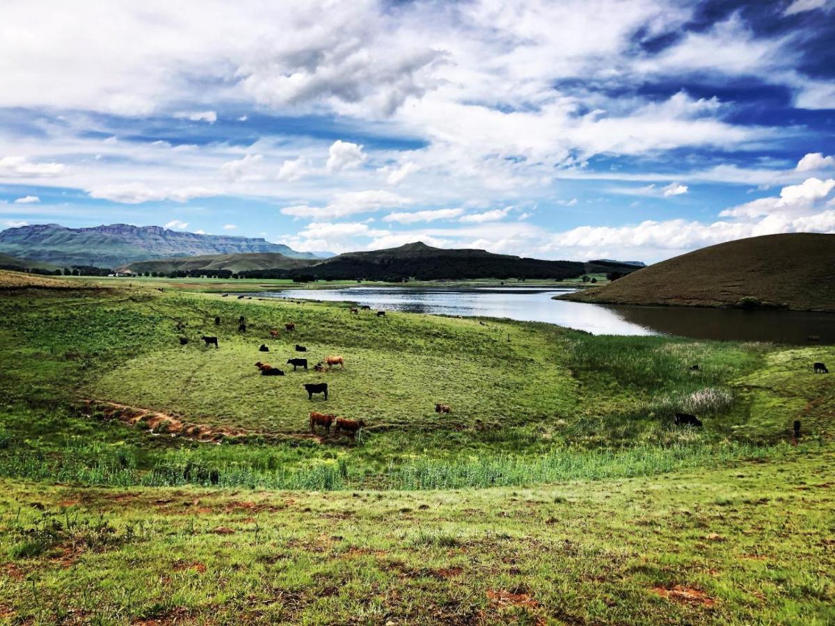 Lake Glencairn Underberg Ngoại thất bức ảnh